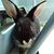 Maria D. Alvarez's profile image