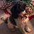 Beverly Faries's profile image