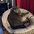 Holly Ann Schultz's profile image