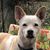 Raquel Delafuente's profile image