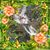 Sara White's profile image