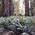 Sharon Williamson Barto's profile image