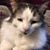 Kathy Coggins-Musolff's profile image