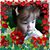 Barbara Baker Matranga's profile image