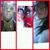 Gyspy N Dion's profile image