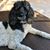 Deborah Pugsley's profile image