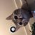 Kenn Lochel's profile image