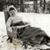 Ginny Ann Weinberger's profile image