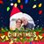 Sharon Hipsher Little's profile image