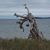 Stacy Whittaker Jones's profile image