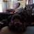 Heather Hofmann Olson's profile image