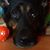 Donna Marie's profile image