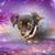 Jill Rothfork's profile image