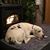 Tracy A Cook's profile image