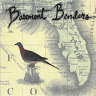 Basement B.'s profile image