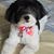 Joan Wayer's profile image