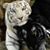 Sonya Smith's profile image