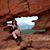 Lisa LeMieux's profile image