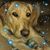Jimmy Mollett's profile image