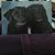 Nancy Mihalek's profile image