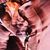 Aimee Bautista VanDerschelden's profile image