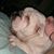 Chadd Davis's profile image