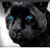 Rigby Revolver's profile image
