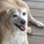 Jacqueline Frary's profile image