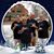 Cathy Sayre's profile image