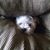 Machielle L Field's profile image