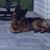Tracy Williams's profile image