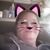Carol Sawyer's profile image