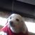 Eric Blaul's profile image