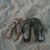 Kimberly Thompson's profile image