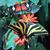 Marcia Bailey Kettrick's profile image