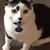 Kathy Janke's profile image