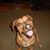Cecelia Ann Schwartz's profile image