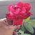 Doris Post's profile image