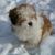 Sherry Marshall's profile image