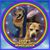 Stacy Schmitt's profile image