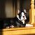 Jean Angell's profile image