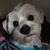 Dana Flinders's profile image