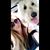 Kristen Bova's profile image