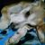 Mary Dore's profile image