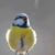 Arla Henry's profile image