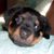 Stephanie Weaver's profile image