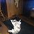 Tonya Christine Taylor's profile image