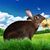 Walter P Salvatore Jr.'s profile image