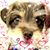 Carol Pineda Brown's profile image