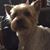 Rita Kenny Harris's profile image